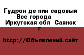 Гудрон де пин садовый - Все города  »    . Иркутская обл.,Саянск г.